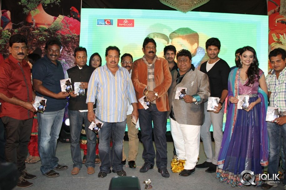 Mellaga-Tattindi-Manasu-Talupu-Movie-Audio-Launch